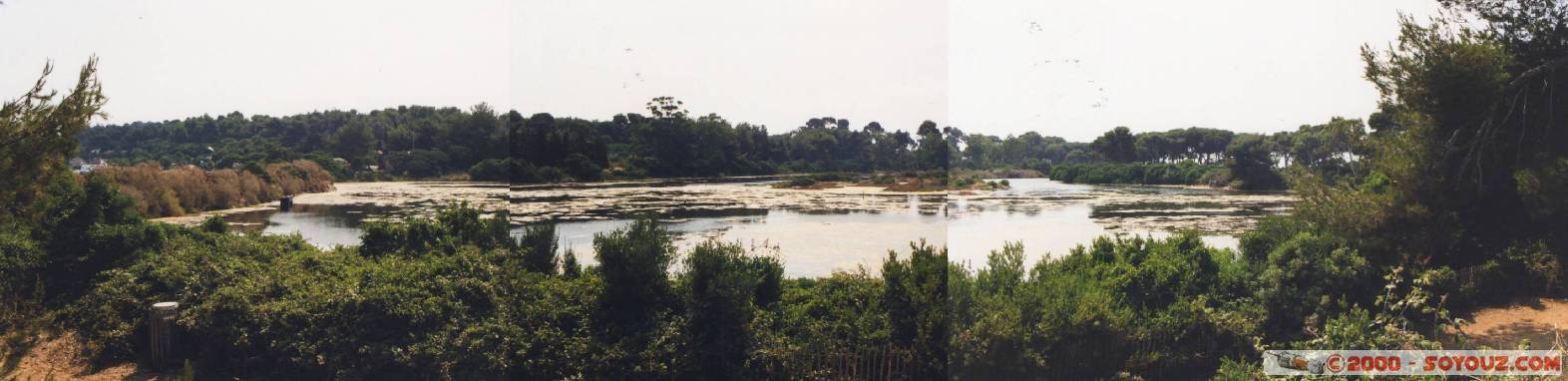 Panorama du centre de l'�ile Ste Marguerite
