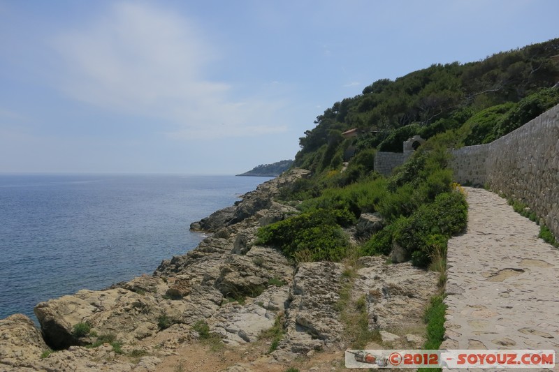 Saint-Jean-Cap-Ferrat - Promenade Pointe St Hospice
Mots-clés: FRA France geo:lat=43.68689796 geo:lon=7.34940290 geotagged Provence-Alpes-CÃ´te d&#039;Azur Saint-Jean-Cap-Ferrat mer