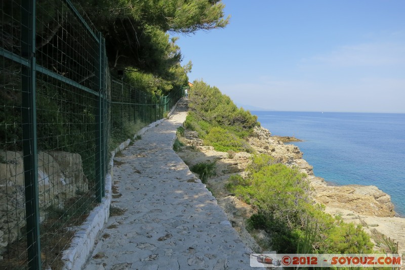 Saint-Jean-Cap-Ferrat - Promenade Pointe St Hospice
Mots-clés: FRA France geo:lat=43.68640918 geo:lon=7.34876990 geotagged Provence-Alpes-CÃ´te d&#039;Azur Saint-Jean-Cap-Ferrat mer