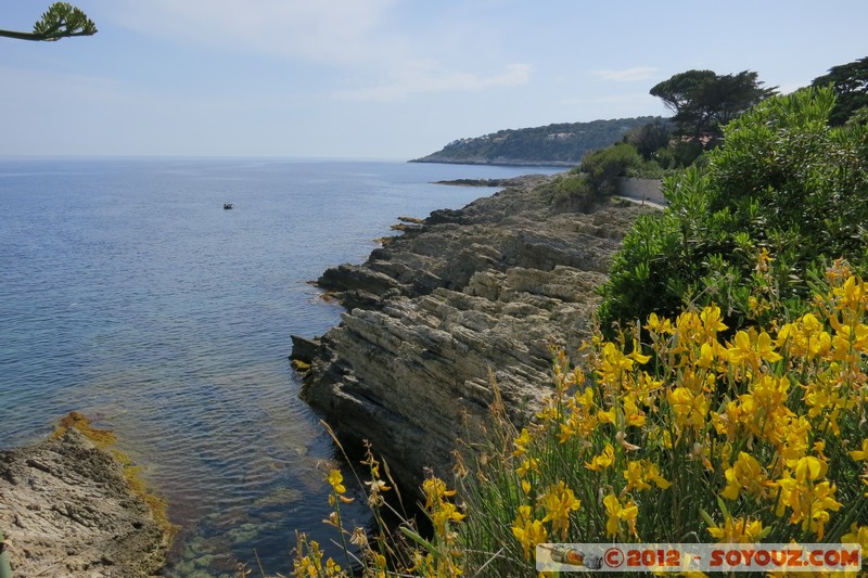 Saint-Jean-Cap-Ferrat - Promenade Pointe St Hospice
Mots-clés: FRA France geo:lat=43.68378680 geo:lon=7.34275103 geotagged Provence-Alpes-CÃ´te d&#039;Azur Saint-Jean-Cap-Ferrat mer