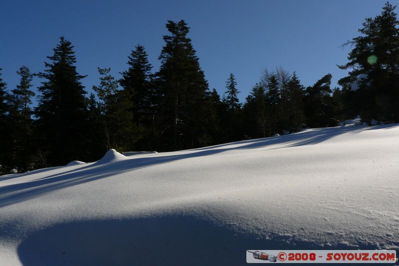 col de Bleine - Pic de l'Aiglo
Mots-clés: Neige