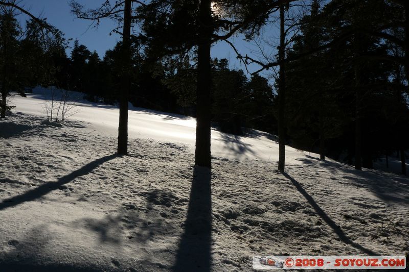 col de Bleine - Pic de l'Aiglo
Mots-clés: Neige