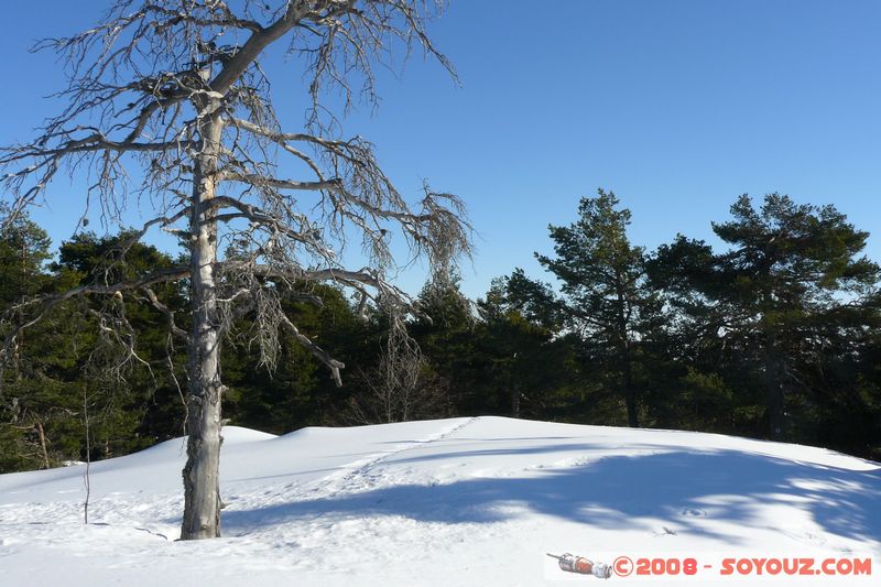 col de Bleine - Pic de l'Aiglo
Mots-clés: Neige Arbres