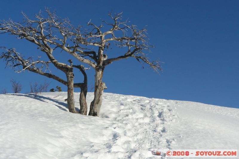 col de Bleine - Pic de l'Aiglo
Mots-clés: Neige Arbres