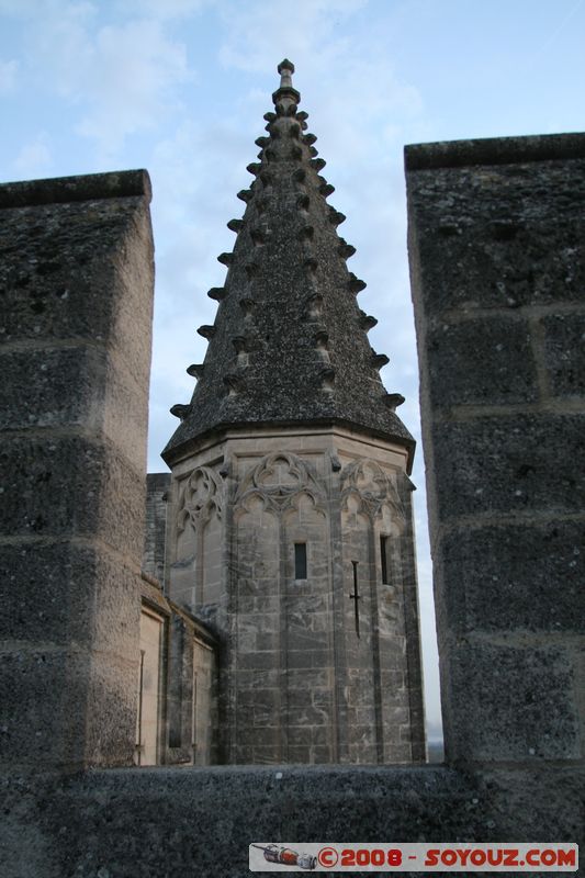 Avignon - Palais des Papes
Mots-clés: Eglise chateau patrimoine unesco