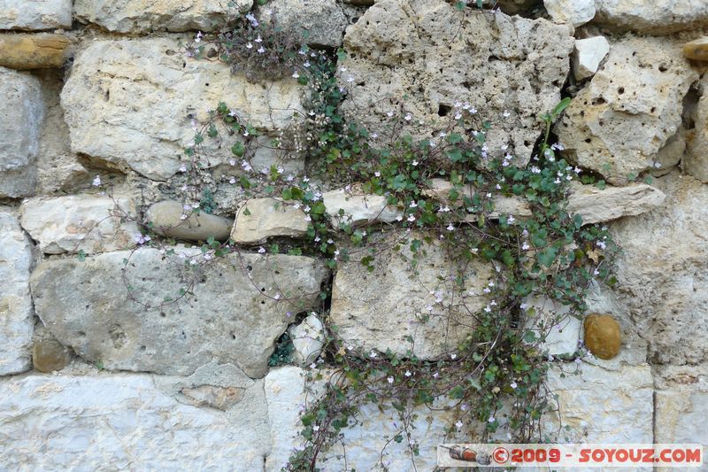 Baudinard-sur-Verdon
