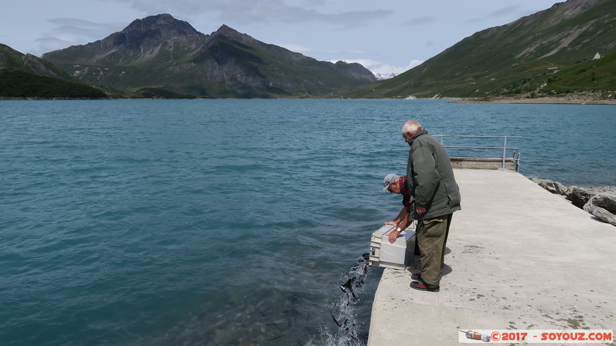 Lac du Mont-Cenis - Lacher de poissons
Mots-clés: geo:lat=45.22618349 geo:lon=6.96110487 geotagged Haute Maurienne Lanslebourg-Mont-Cenis Lac du Mont-Cenis Lac animals Poisson