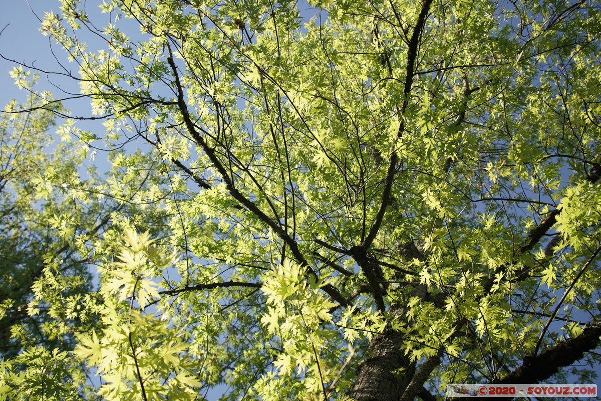 Annecy-le-Vieux
Mots-clés: Annecy-le-Vieux Auvergne-Rhône-Alpes FRA France Arbres