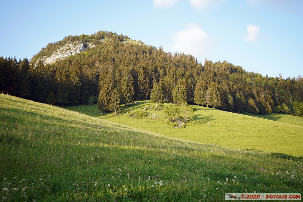 Col de la Forclaz - Le Collet
Mots-clés: Auvergne-Rhône-Alpes FRA France Montmin Col de la Forclaz Montagne