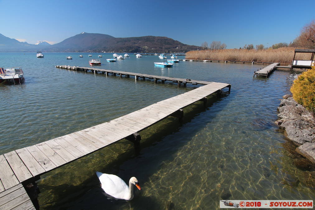 Annecy-le-Vieux - Albigny
Mots-clés: Albigny Annecy-le-Vieux Auvergne-Rhône-Alpes FRA France geo:lat=45.90564887 geo:lon=6.15487307 geotagged Lac Montagne animals oiseau Cygne bateau