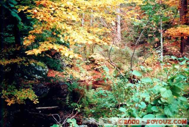 Couleurs d'Automne au  Lac Vert
