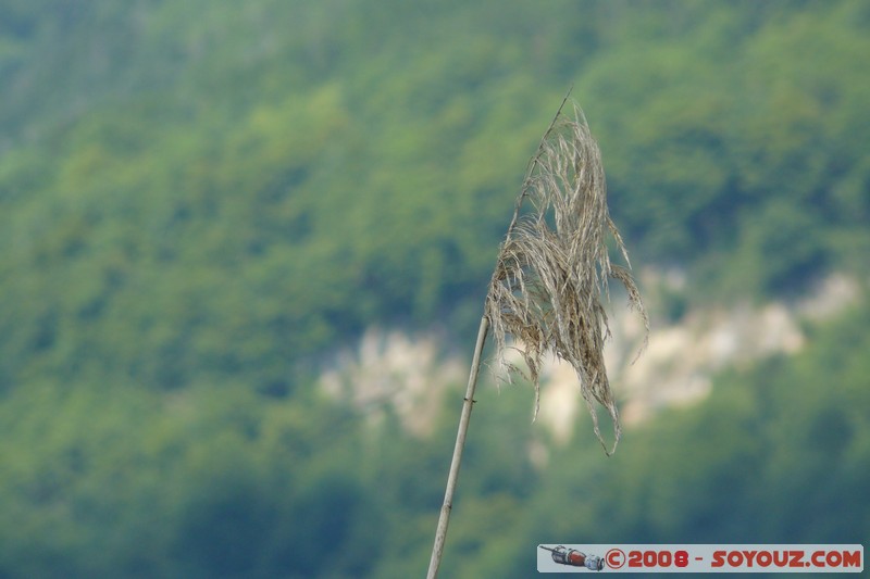 Reserve Naturelle du Bout-du-Lac
