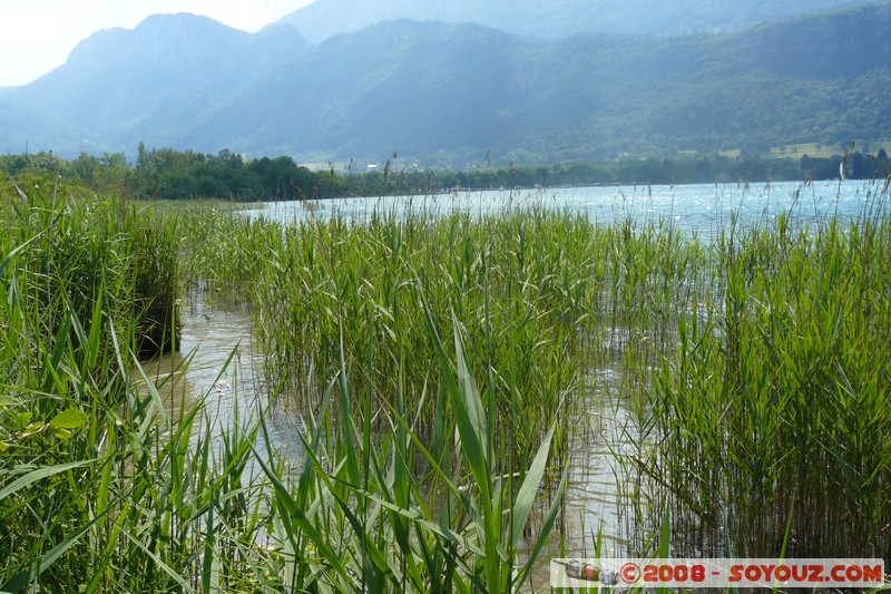 Reserve Naturelle du Bout-du-Lac
Mots-clés: Lac