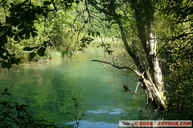 Reserve Naturelle du Bout-du-Lac - L'Eau Morte
Mots-clés: Riviere