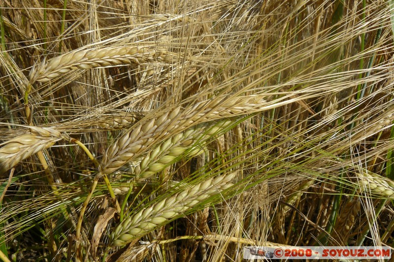 Reserve Naturelle du Bout-du-Lac
