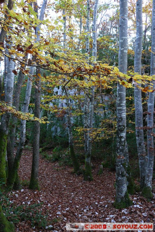 Duingt - La boucle du Taillefer
