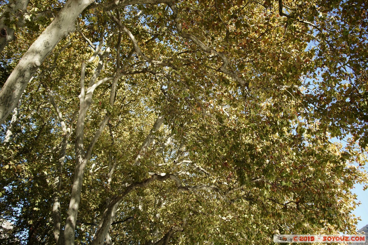 Annecy - Avenue d'Albigny
Mots-clés: Avenue d'Albigny Arbres