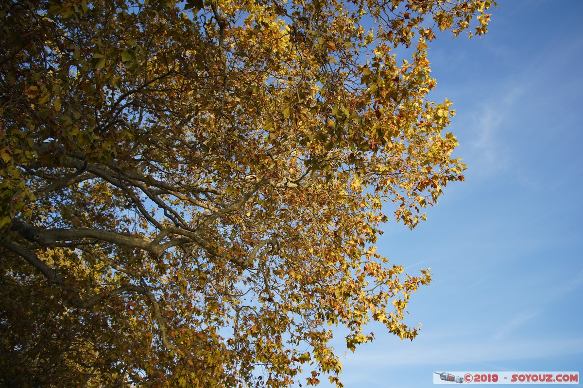 Annecy - Avenue d'Albigny
Mots-clés: Avenue d'Albigny Arbres