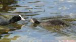 DSC00792.JPG
