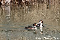 IMG_3804.JPG