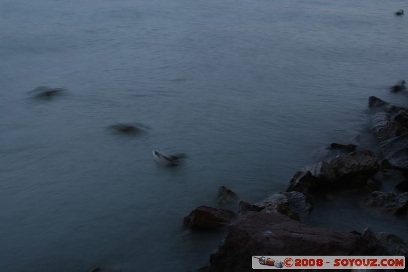 Balatonfured - Tagore setany utca
Mots-clés: Nuit oiseau Cygne canard Lac