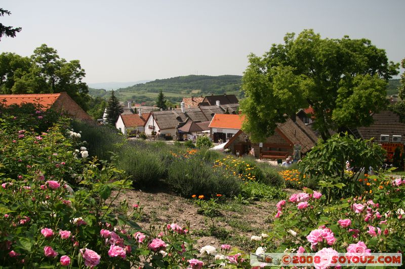 Tihany - Garden
