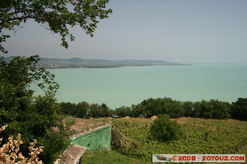 Tihany - View on Balaton lake
Mots-clés: vignes Lac