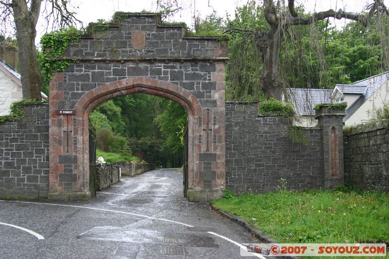 Glenarm forest
