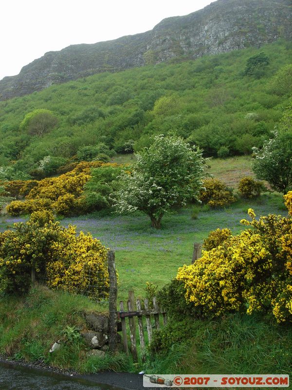 Glenariff
