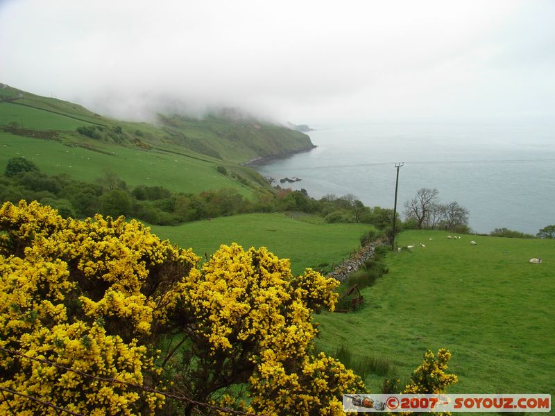 Glenariff
