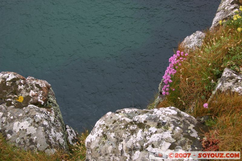 Carrick-a-rede Rope Bridge
