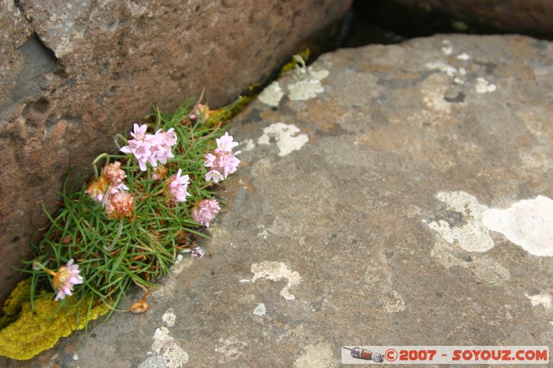 Mots-clés: patrimoine unesco