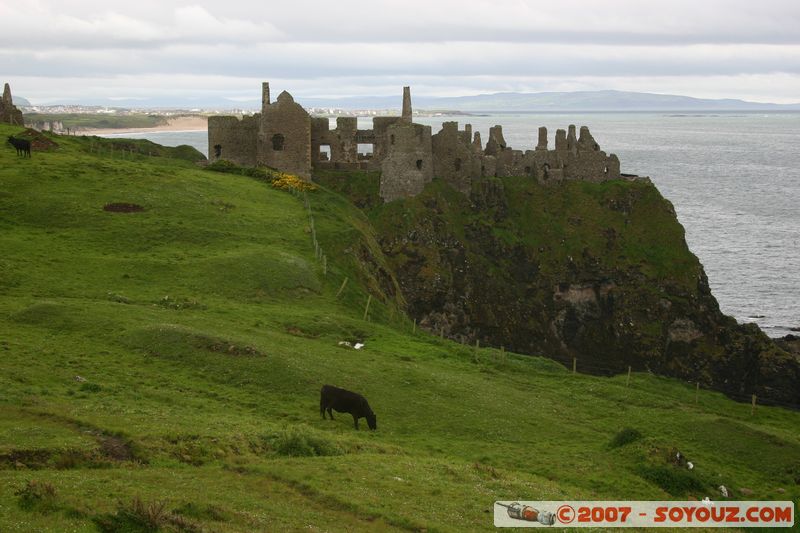 Dunluce Castle
Mots-clés: chateau Ruines