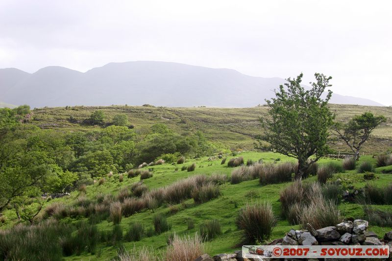 Killary Fjord
