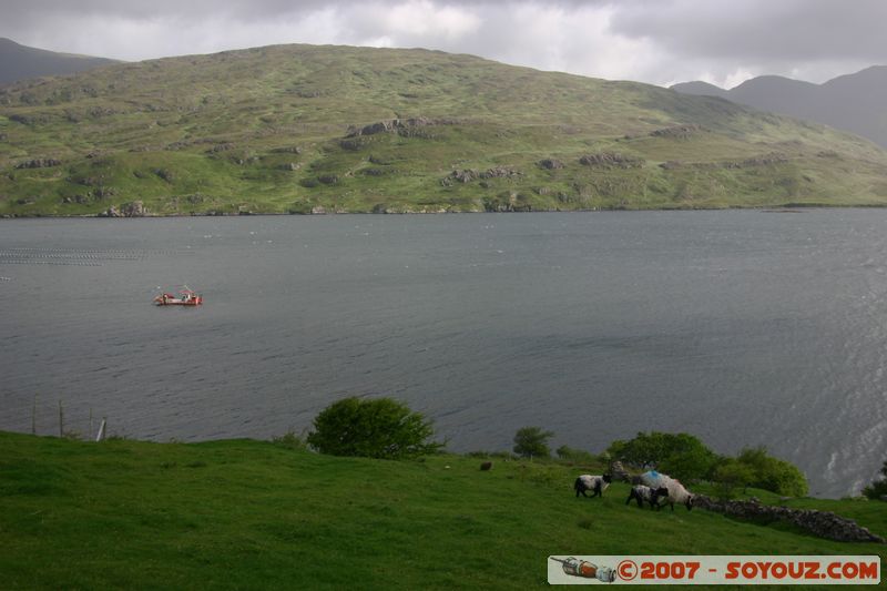 Killary Fjord
