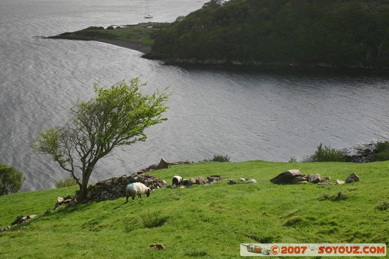 Killary Fjord
