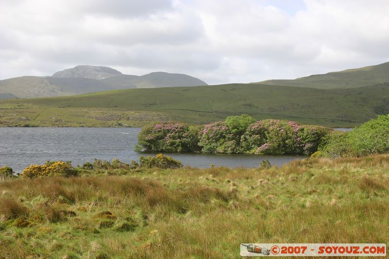 Lough Fee
