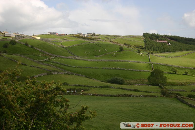 Colline verdoyante
