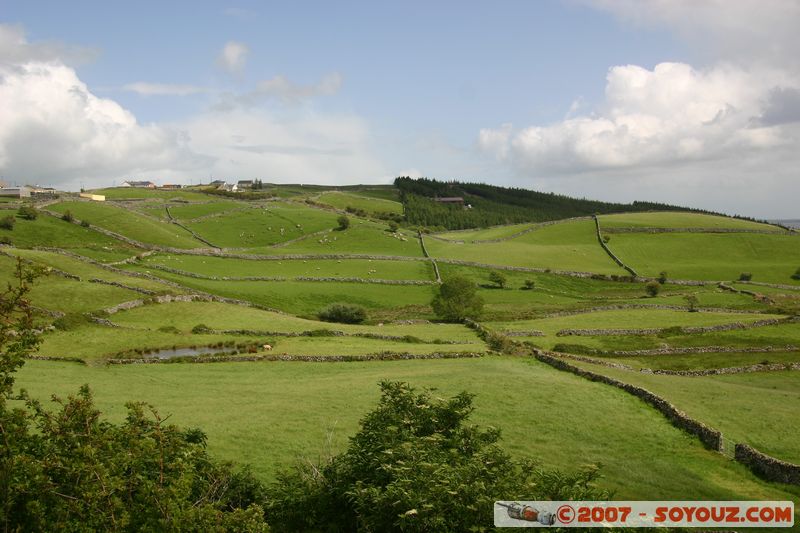 Colline verdoyante
