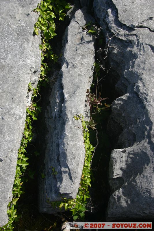 The Burren
