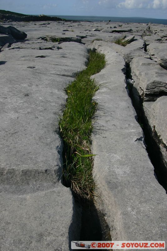 The Burren
