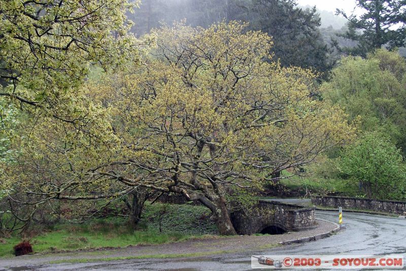 Glendalough Lake
