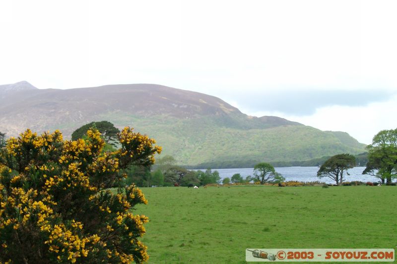 Killarney National Park - Lough Leane
