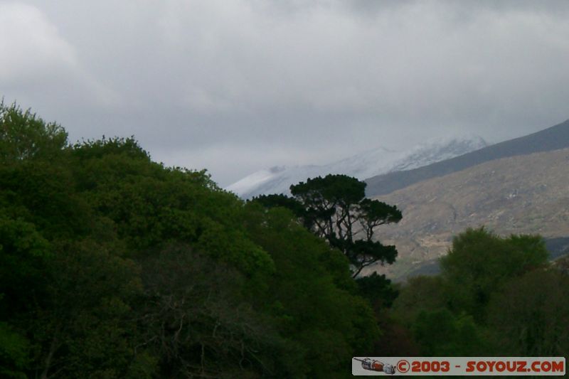 Killarney National Park - Lough Leane
