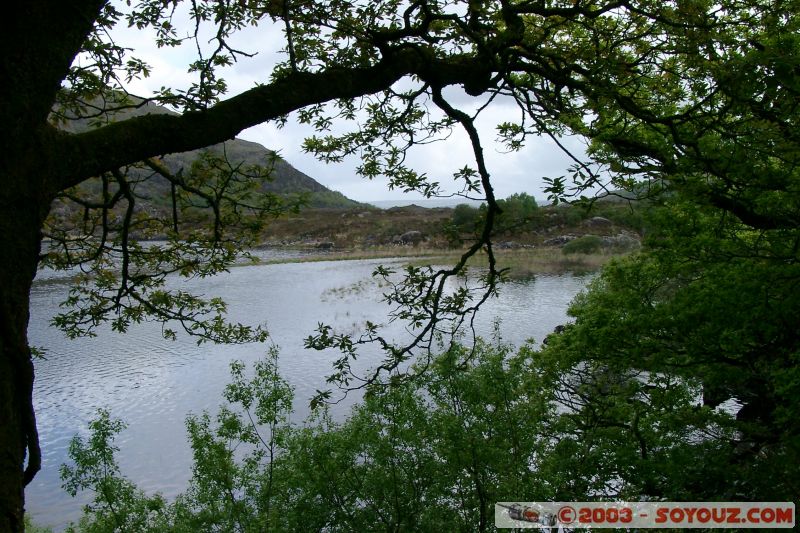 Killarney National Park - Lough Leane
