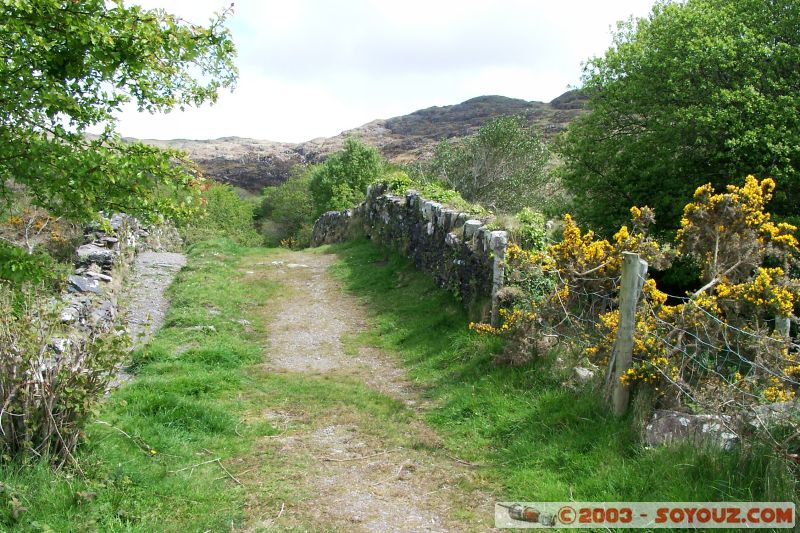 Ring of Kerry - Pont en pierre pres de Staigue
