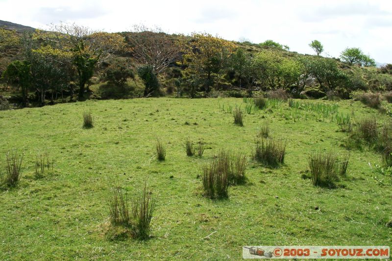 Ring of Kerry
