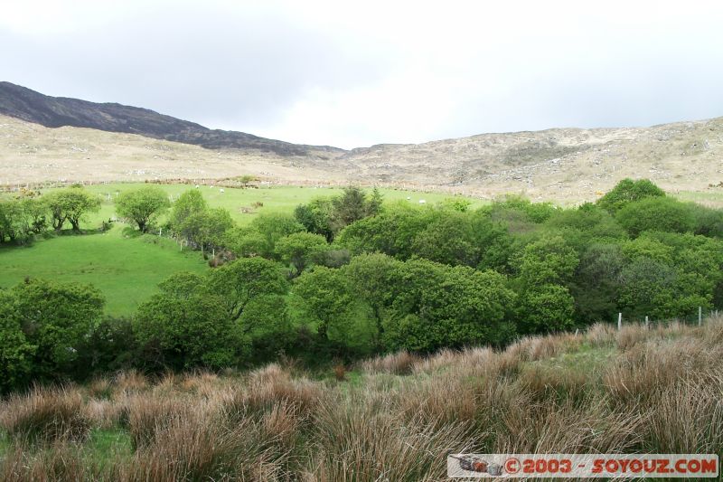 Ring of Kerry
