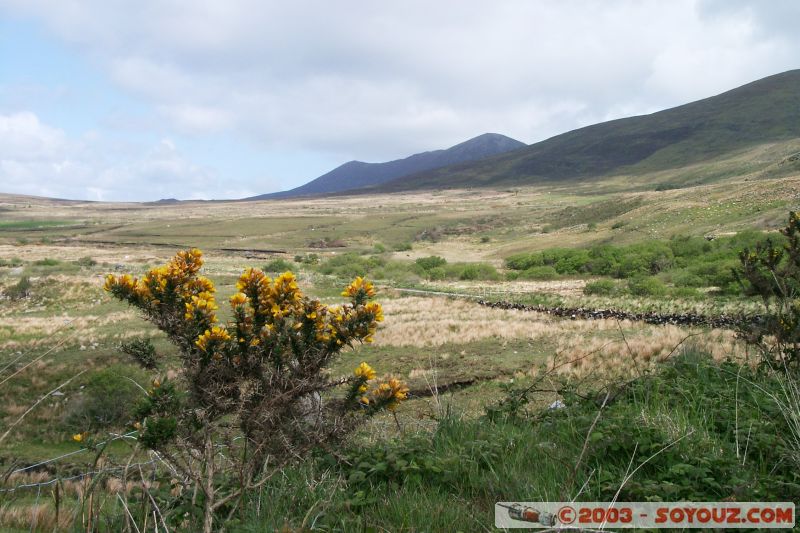 Ring of Kerry
