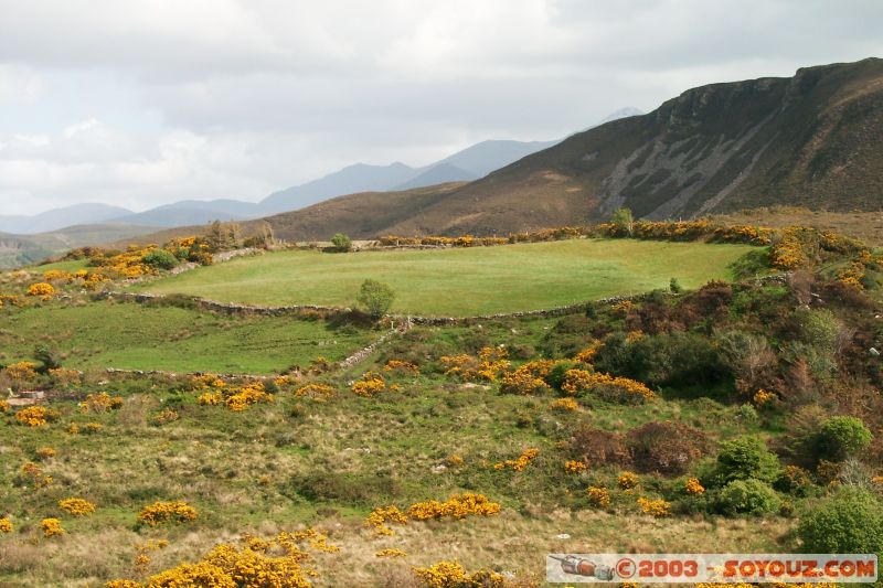 Ring of Kerry
